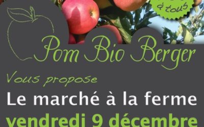 Marché de Noël Althen des Paluds